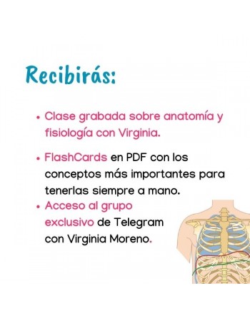 Anatomía y fisiología para vocal coach Anatomía y fisiología para vocal coach