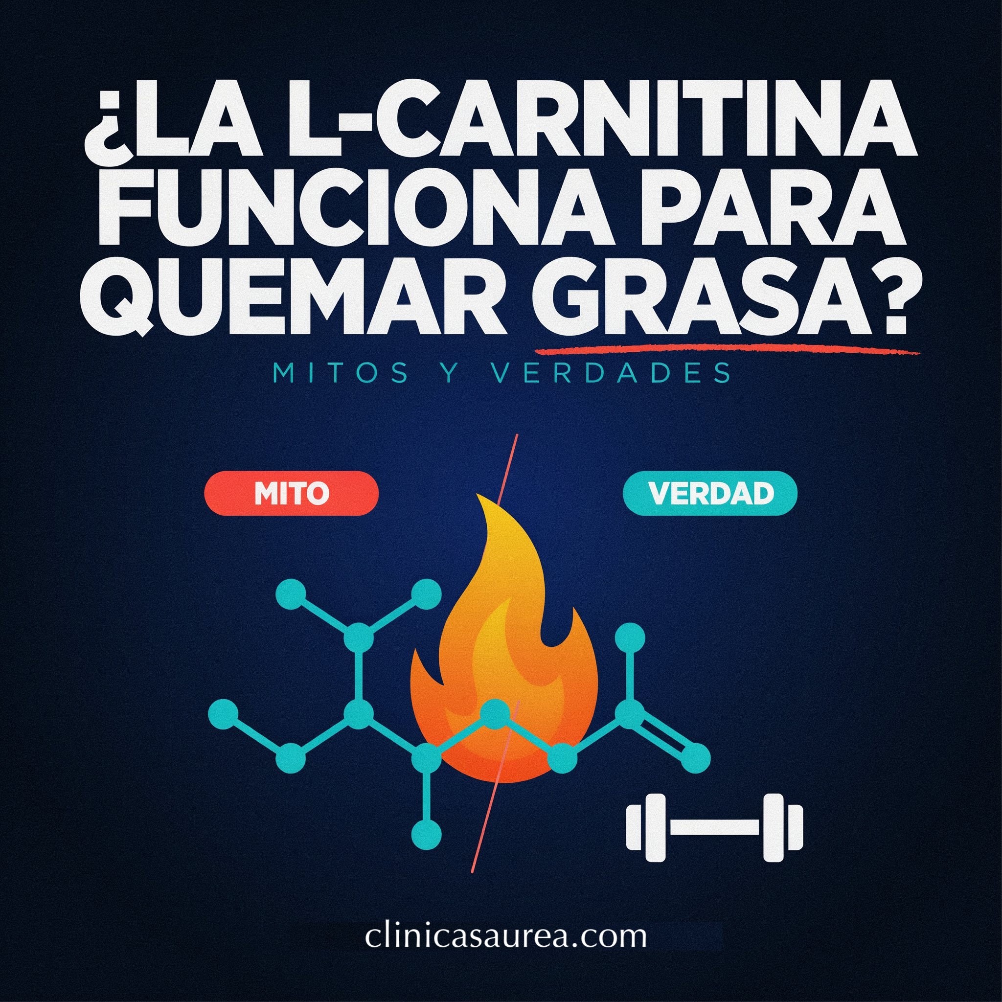 ¿La L-Carnitina funciona para quemar grasa? Mitos y verdades