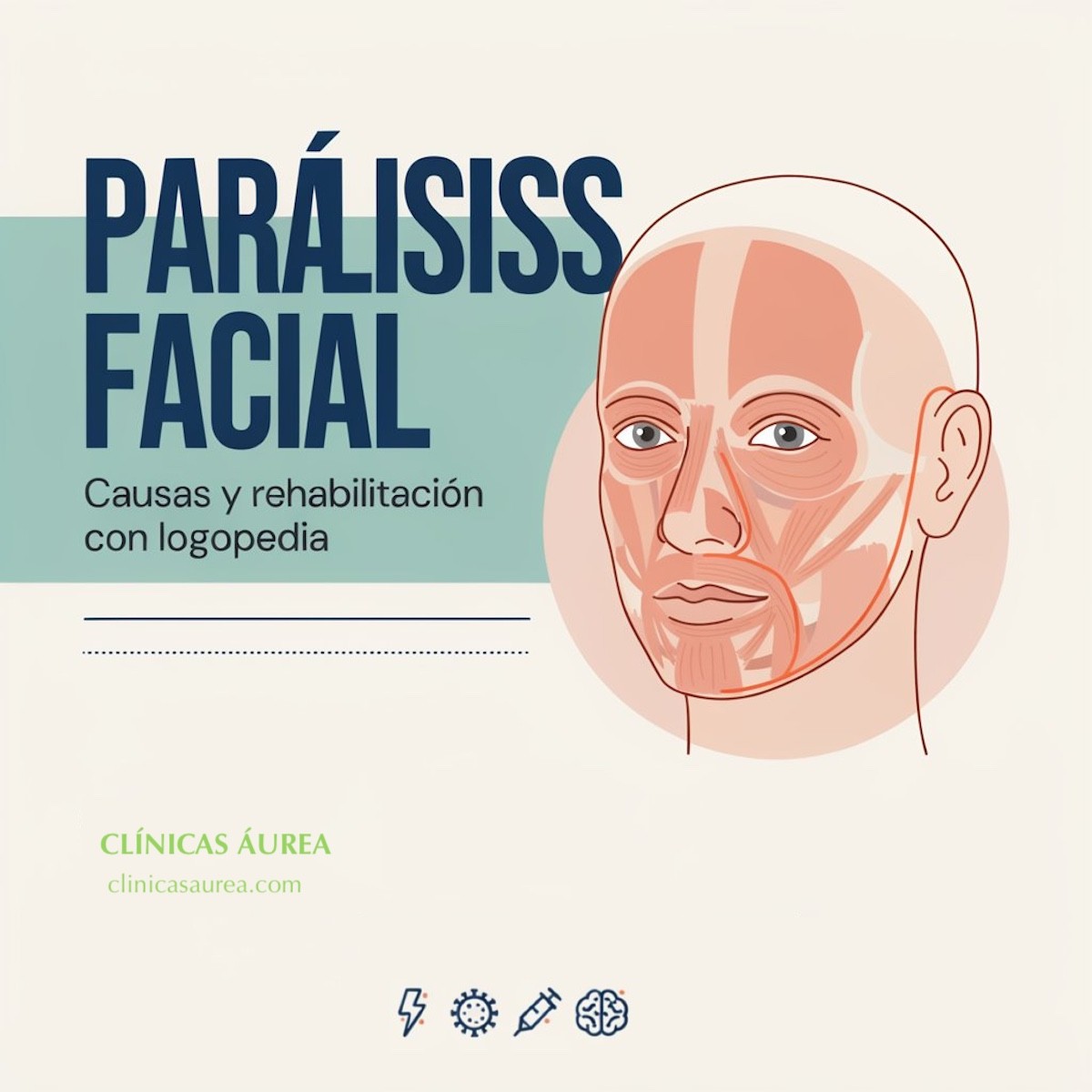 Parálisis facial: Causas y rehabilitación con logopedia