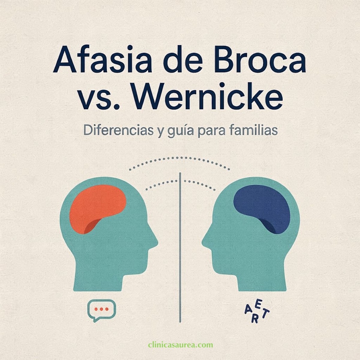 Afasia de Broca vs. Wernicke: Diferencias y guía para familias